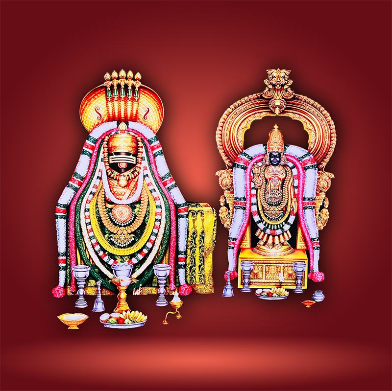 Shree Arunachaleshwara Swami Tiruvannamalai